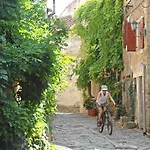 Rustica * Buje