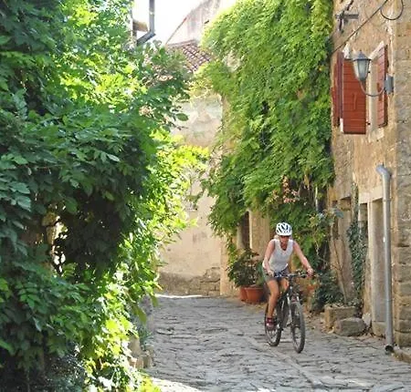 Rustica * Buje